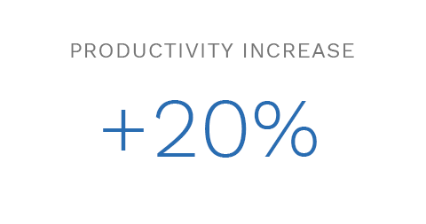 Productivity Plus 20 Percent
