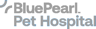 SparcStart Client - Blue Pearl Logo Gray